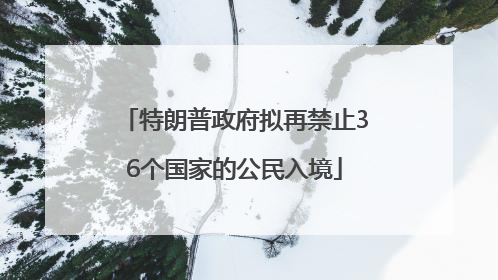 特朗普政府拟再禁止36个国家的公民入境